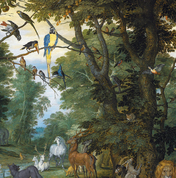 Illustration de l'article