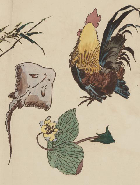 Illustration de l'article