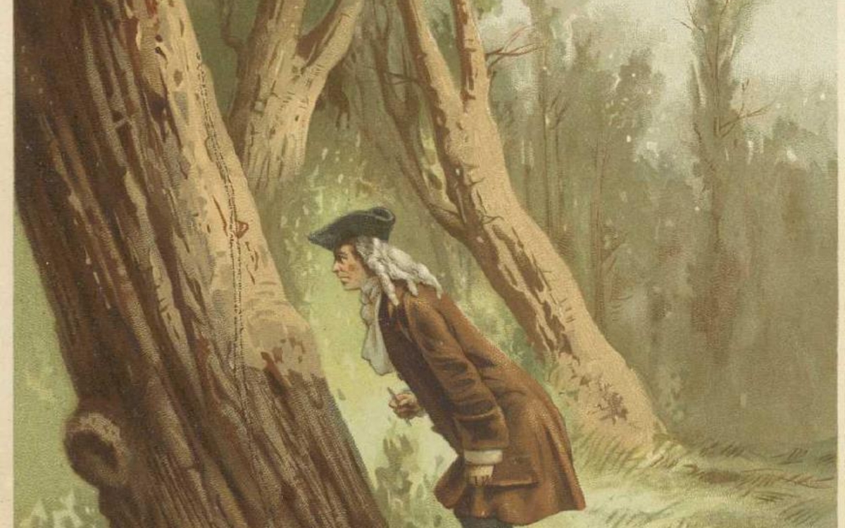 Illustration de l'article