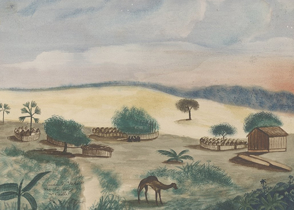 Illustration de l'article